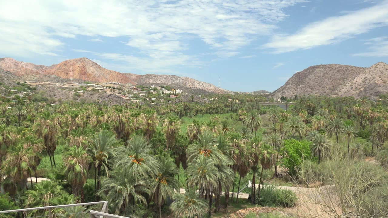 Wide view of a Mulege palm grove with low mountains, hillside buildings, blue sky, scattered white clouds, and no visible people.