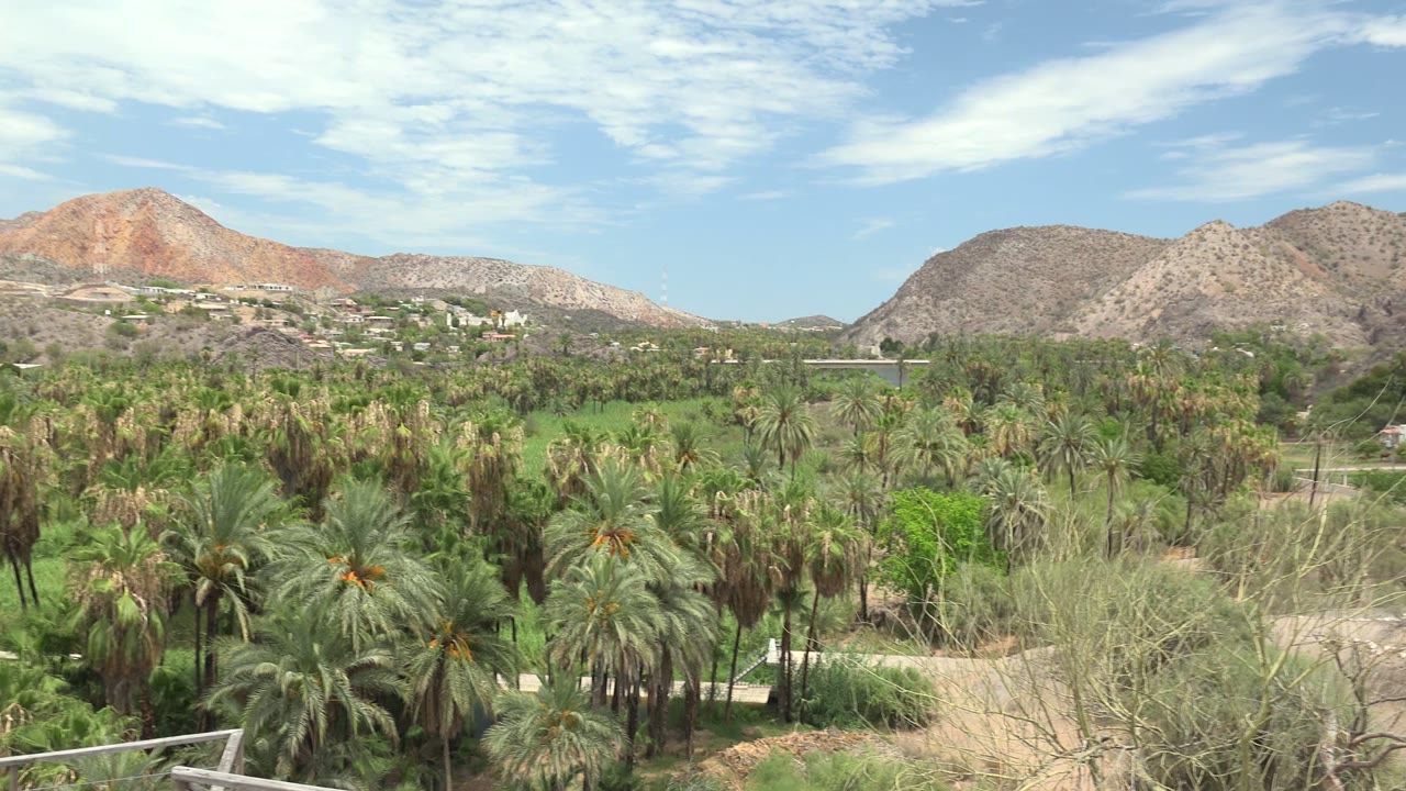 A wide Mulege landscape shows palms and sandy paths in front of a mountain range, with white cloud streaks across a blue sky and no visible people.