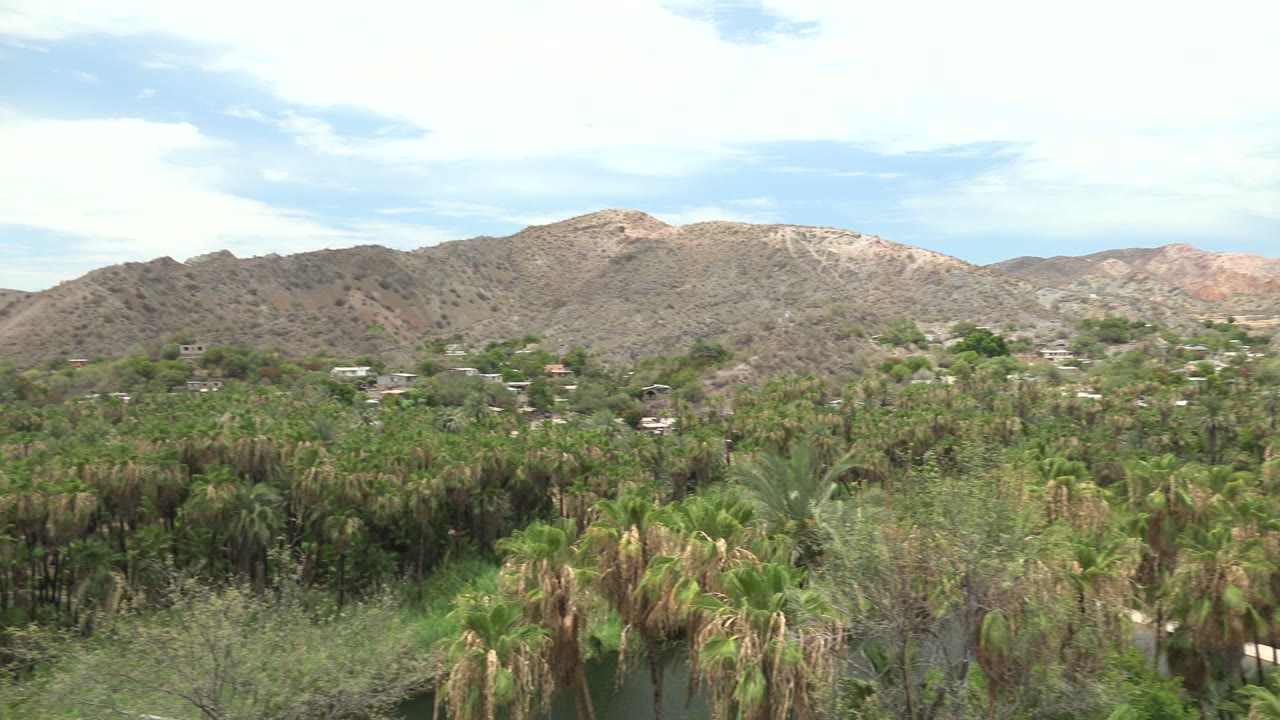Opening view in Mulege, Baja California Sur, looking over a dense palm grove toward dry rocky hills and a pale partly cloudy sky, with no visible people.