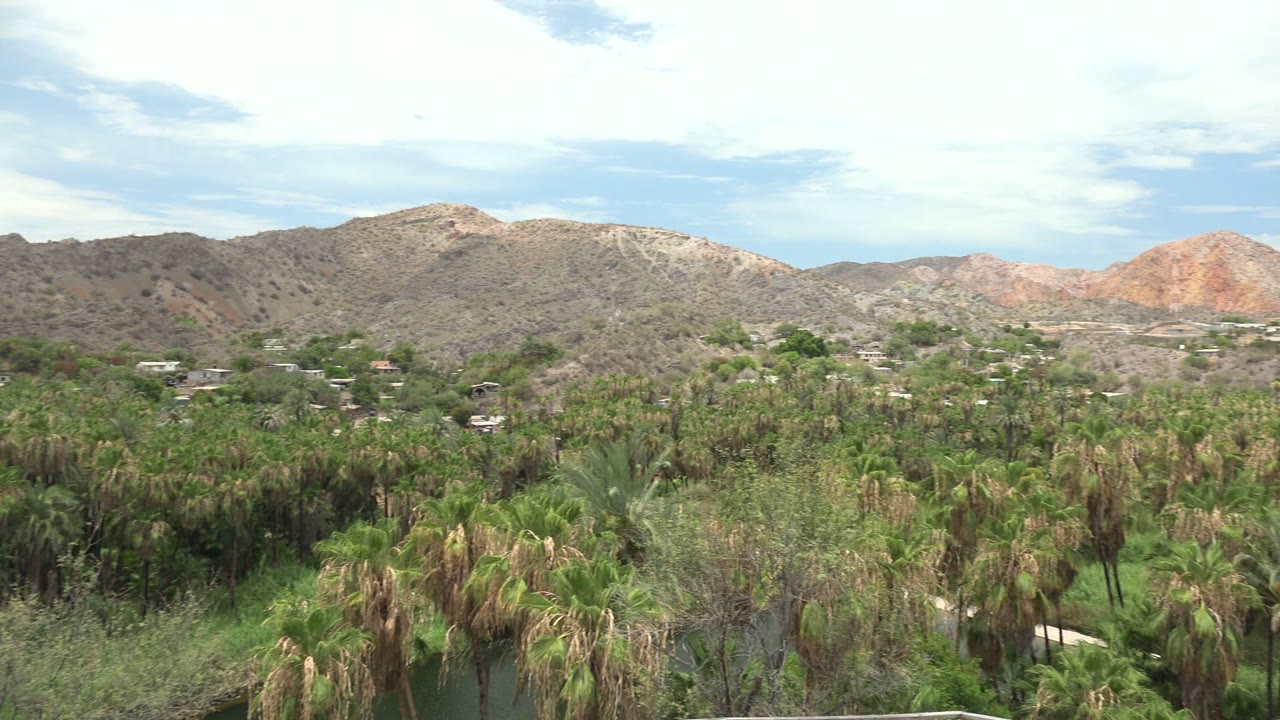 The frame holds on Mulege palms spreading across the lower view, with rocky mountains and small distant structures under a bright, partly cloudy sky, and no visible people.