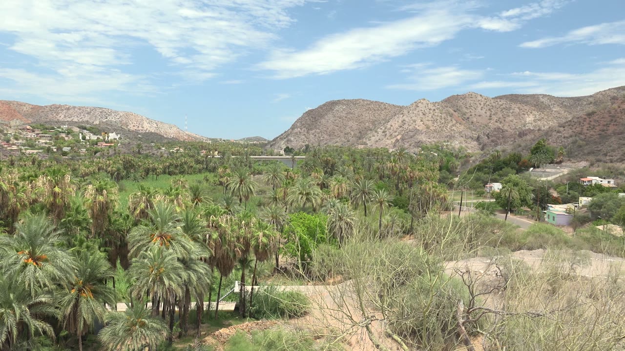 Wide Mulege, Baja California Sur view with palm trees, pale desert brush, small buildings, rocky mountains, thin clouds, and no visible people.