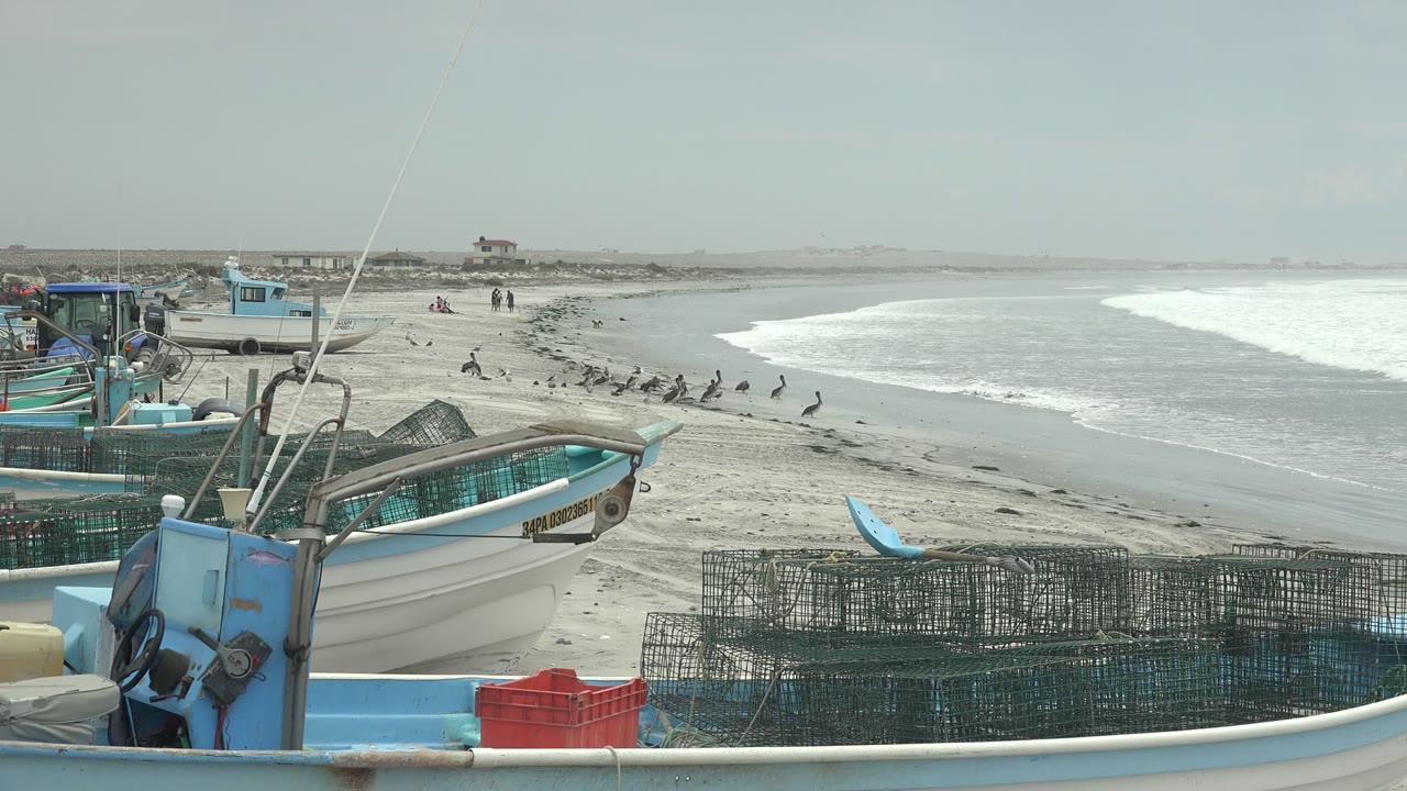 At Punta Abreojos in Baja California Sur, blue and white fishing boats and wire cages sit in the foreground while pelicans line the beach and small groups of people walk in the distance.
