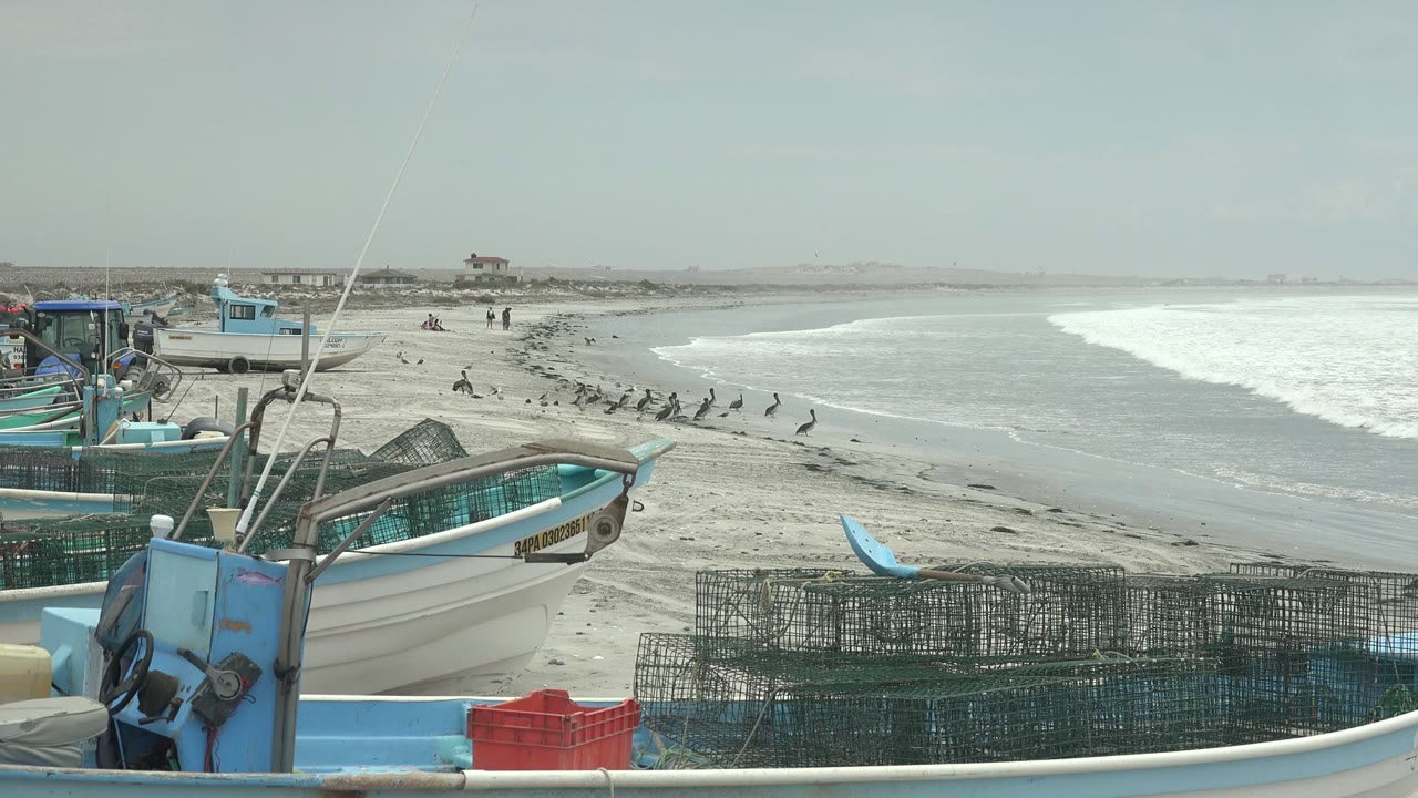 At Punta Abreojos in Baja California Sur, fishing gear fills the lower frame while pelicans are spread along the beach and the incoming wave line brightens the right side of the shoreline.