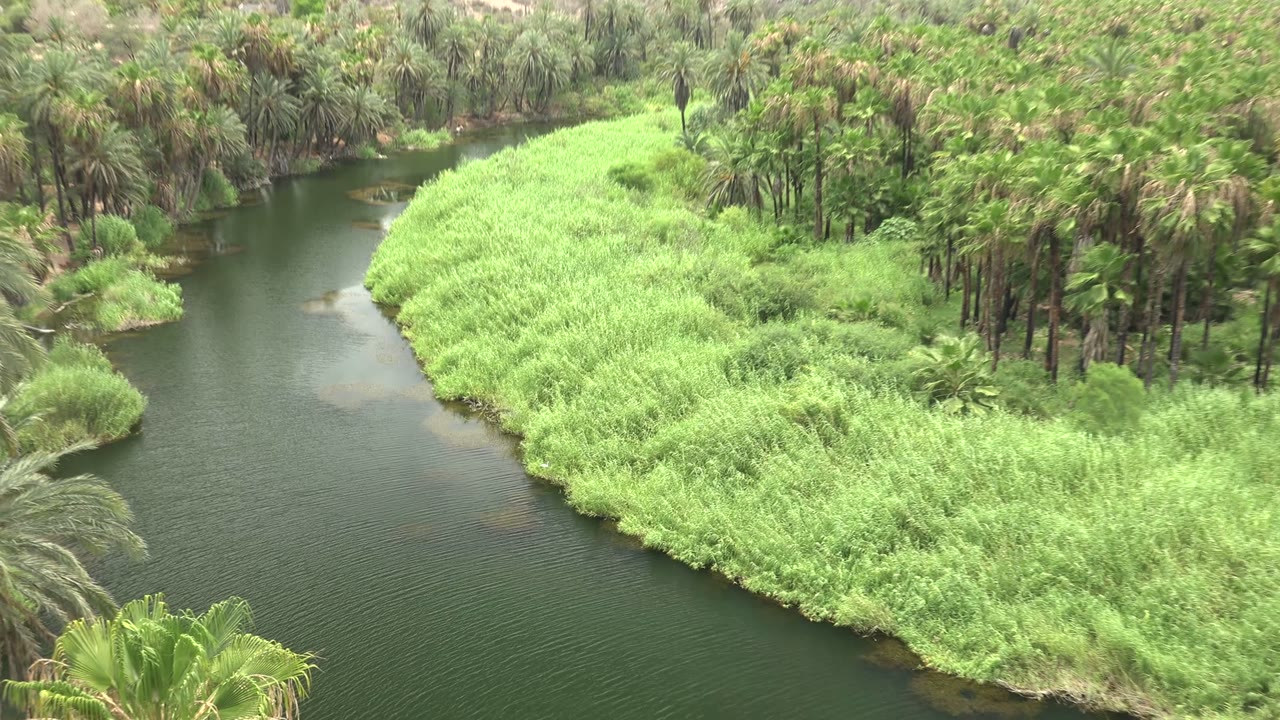 Calm river water beside a bright green vegetated bank.