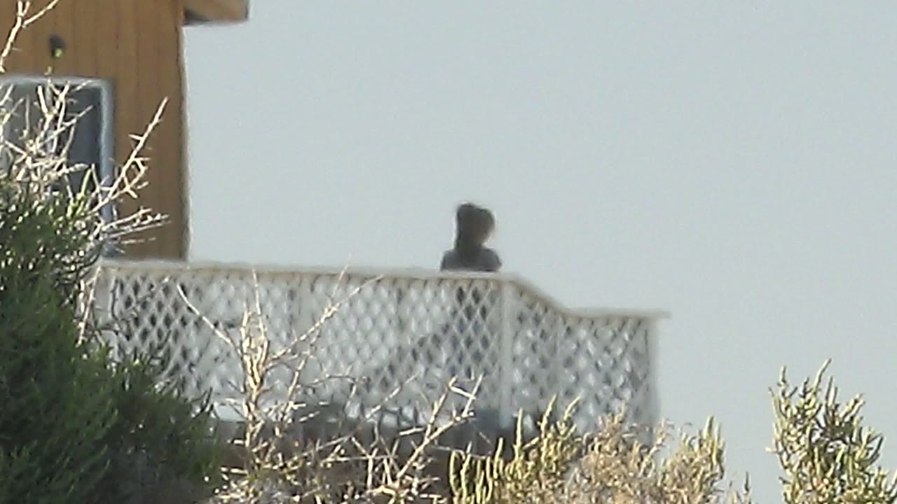 White lattice balcony with person and shrub in front of tan house