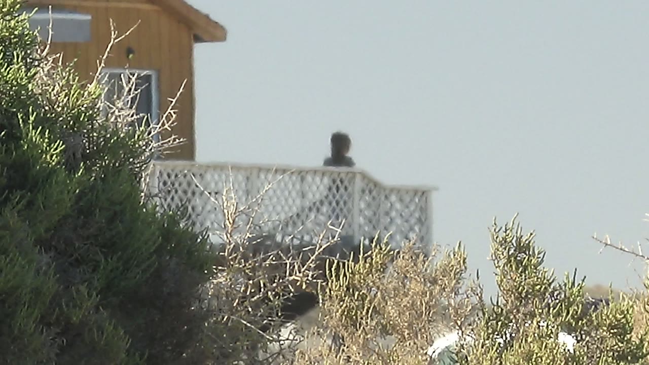 The tan house and white balcony sit higher in frame as shrubs fill more of the La Bocana foreground, with the person still visible near the railing.