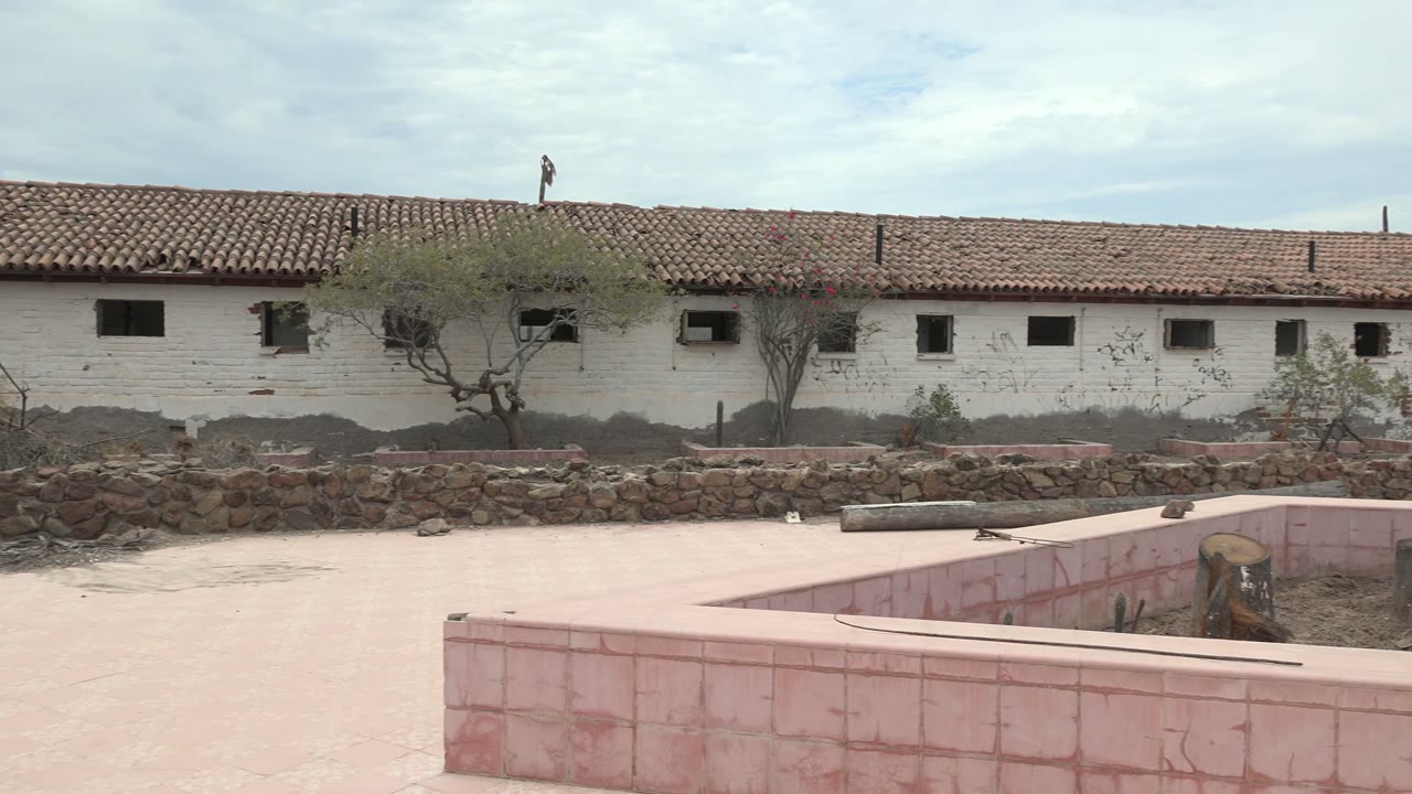 Opening view in Mulege, Baja California Sur, with a pink-tiled courtyard edge, low stone wall, dry brush, small trees, and a white red-roofed building under overcast sky, with no clearly identifiable people.