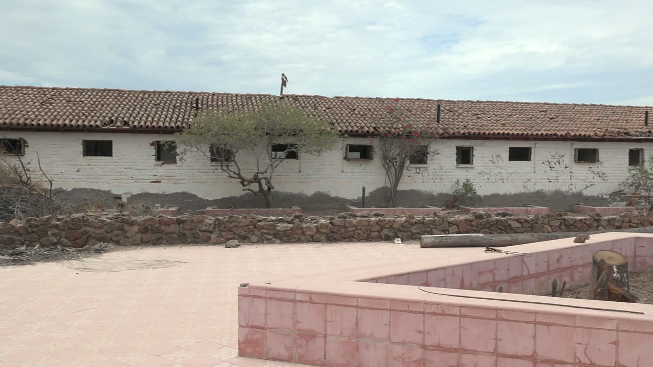 Early moment in Mulege, Baja California Sur, showing the white building and red tile roof behind a rough stone wall as the courtyard trees sit slightly shifted in the wind, with no clearly identifiable people.