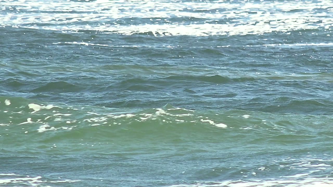Rolling ocean surface with scattered whitecaps.