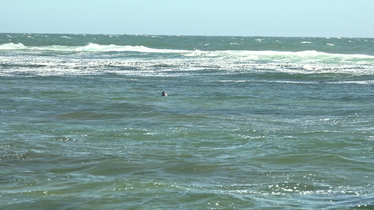 At 0:00 in La Bocana, Baja California Sur, green-blue ocean water fills the frame with distant whitecaps and a small swimmer head near the upper left waterline.