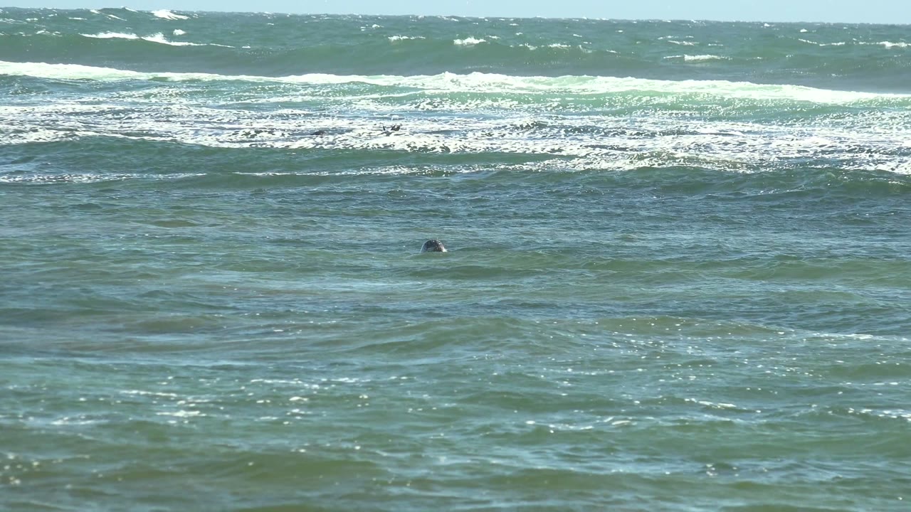 At 0:02 in La Bocana, Baja California Sur, a small dark swimmer head appears toward the right side beneath a field of broken whitecaps and textured green-blue water.