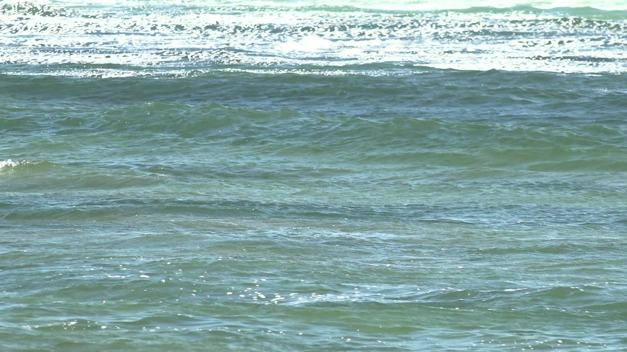 Choppy ocean surface with whitecaps along the far surf line