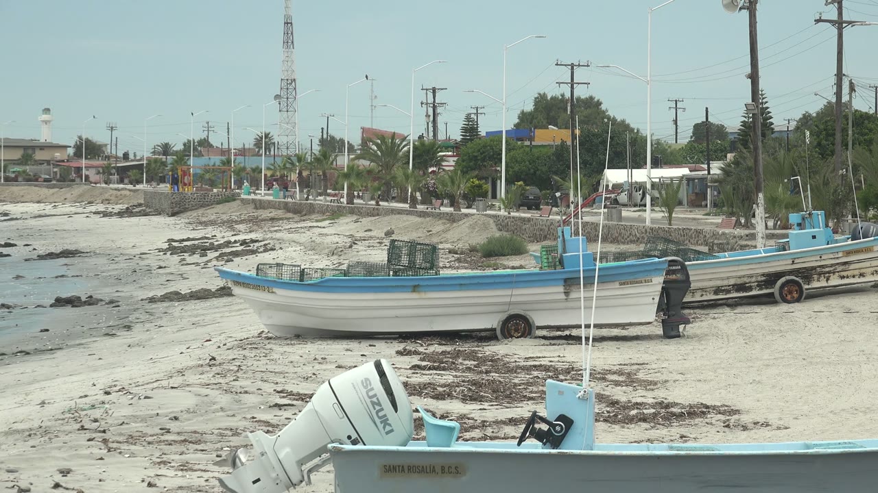 Fishing boats on sand with a foreground outboard motor and palms behind.