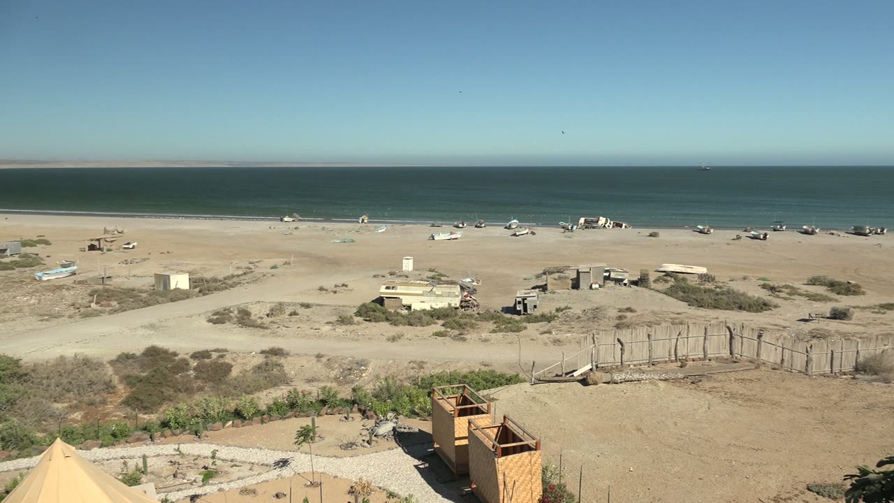Sandy coastal view with ocean, low structures, fences, and foreground greenery.