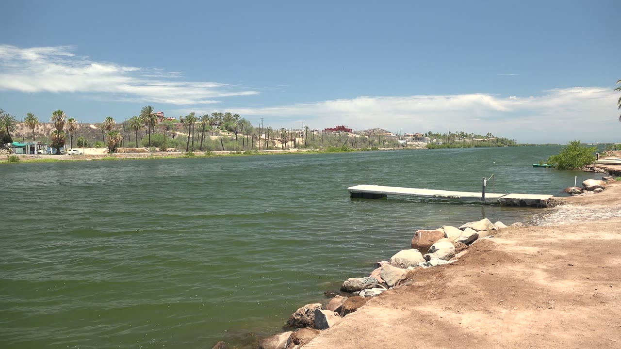 Mulege, Baja California Sur waterfront at the opening moment, with green rippling water, foreground rocks and sand, a white dock to the right, palm trees across the shore, and no visible people.