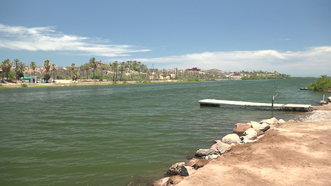 Rippling green water with shoreline rocks, a white dock, palms, and low buildings in the distance.