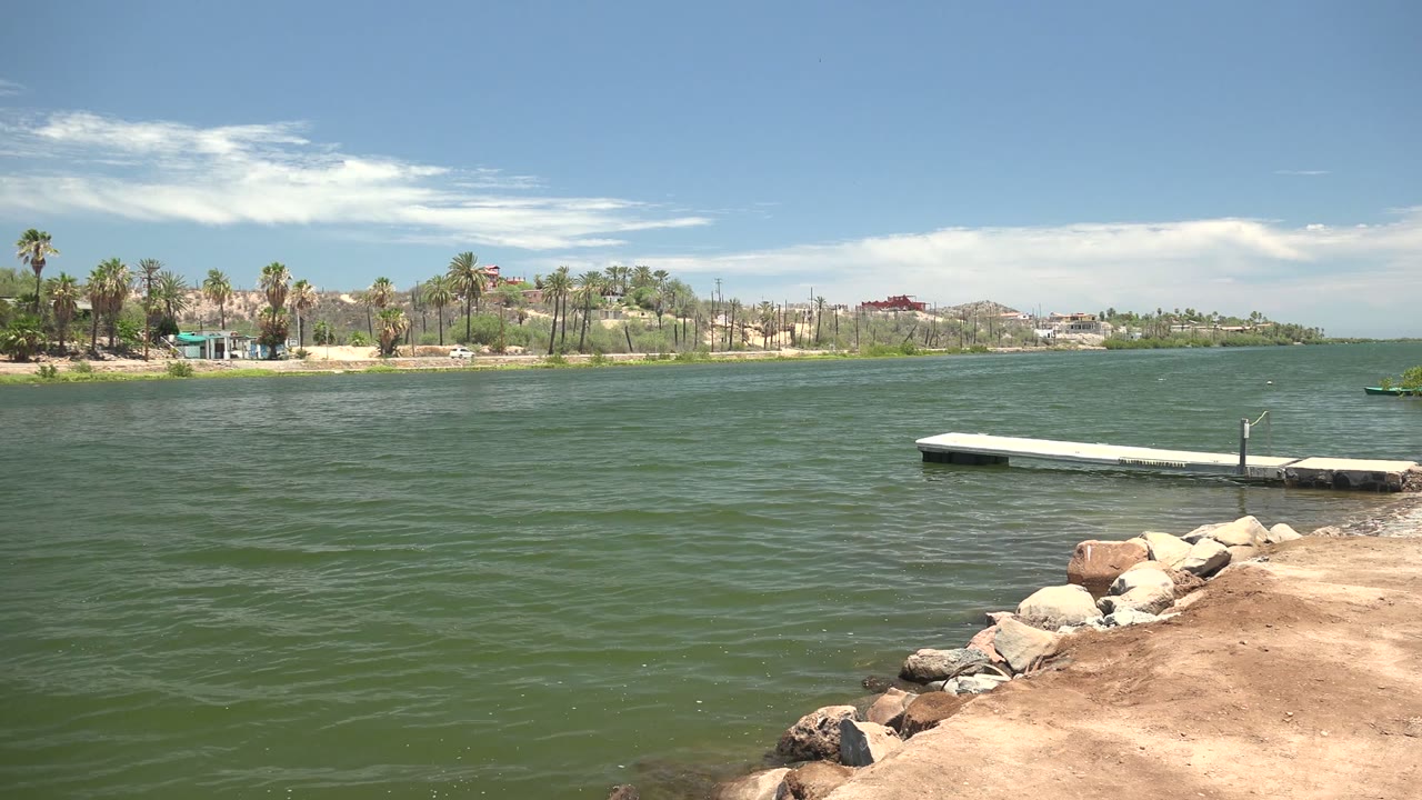 Mulege waterfront during the pan, with open green water in front, the dock shifted toward the right edge, foreground rocks and sand below, palm-lined shore beyond, and no visible people.