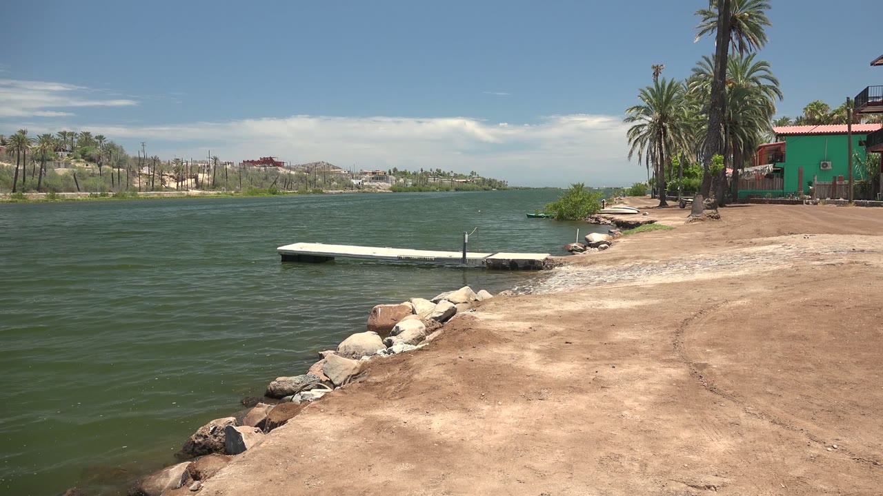 Mulege, Baja California Sur shoreline with green rippling water, a small white dock, rocks along the sandy bank, palm trees, a green building at right, and no visible people.
