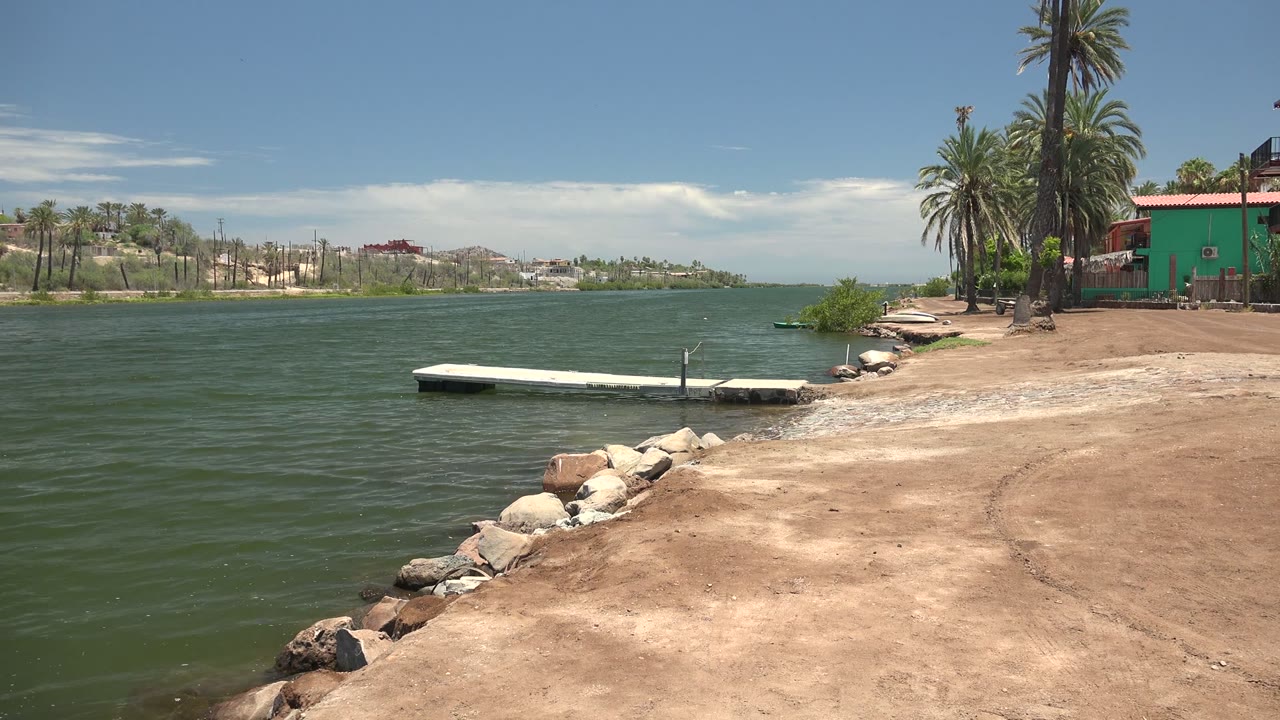 White dock on rippling water near a sandy palm-lined shore.