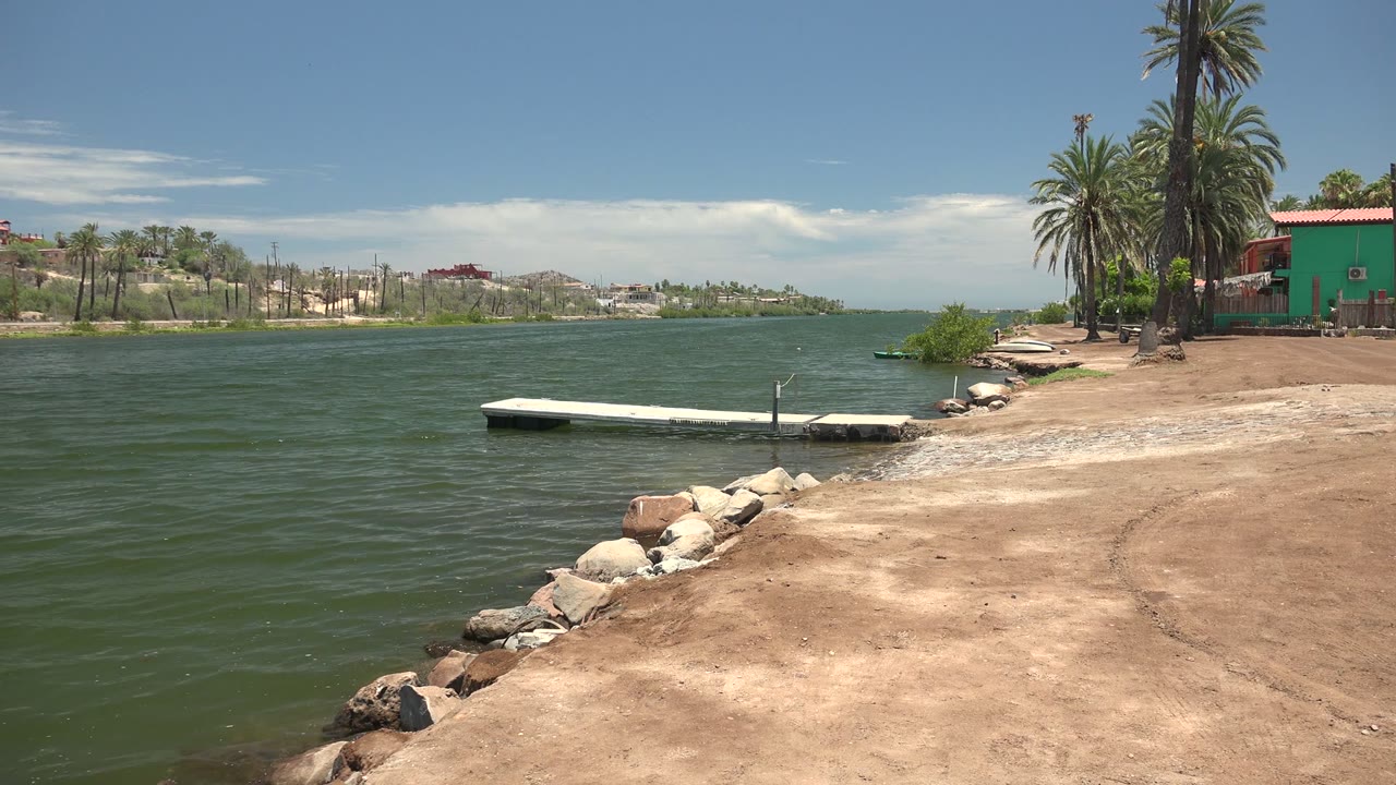 Mulege shore view with green water covering most of the frame, the small dock near the lower center, sandy bank and rocks at right, palms overhead, and no visible people.