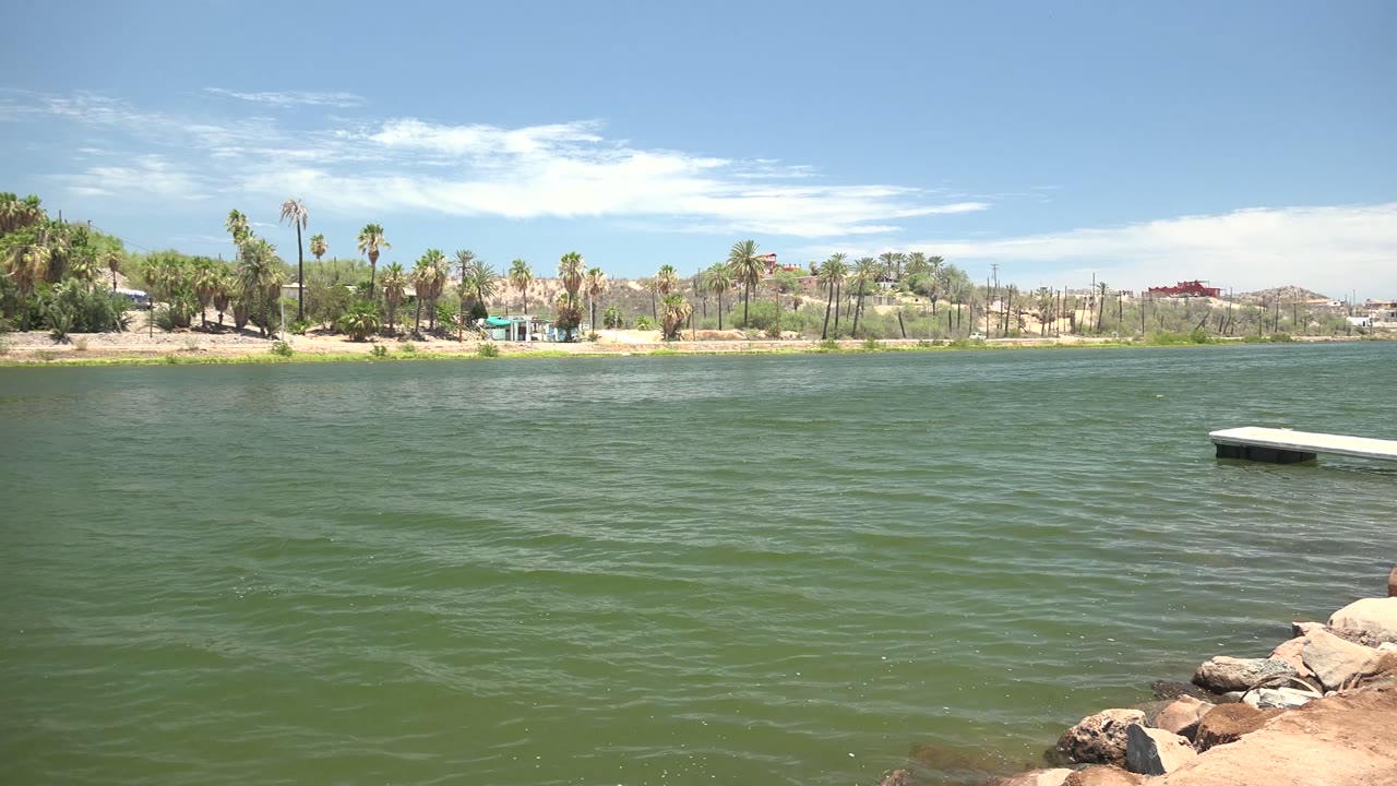 Opening view in Mulege, Baja California Sur, looking over green rippled water toward a sandy palm-lined shore with low buildings and no visible people.