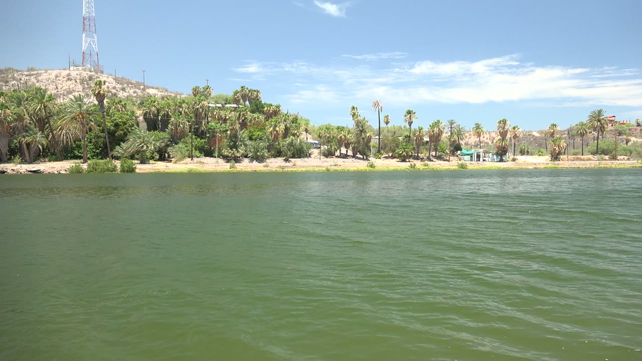 Palm shoreline and hill tower across rippled green water