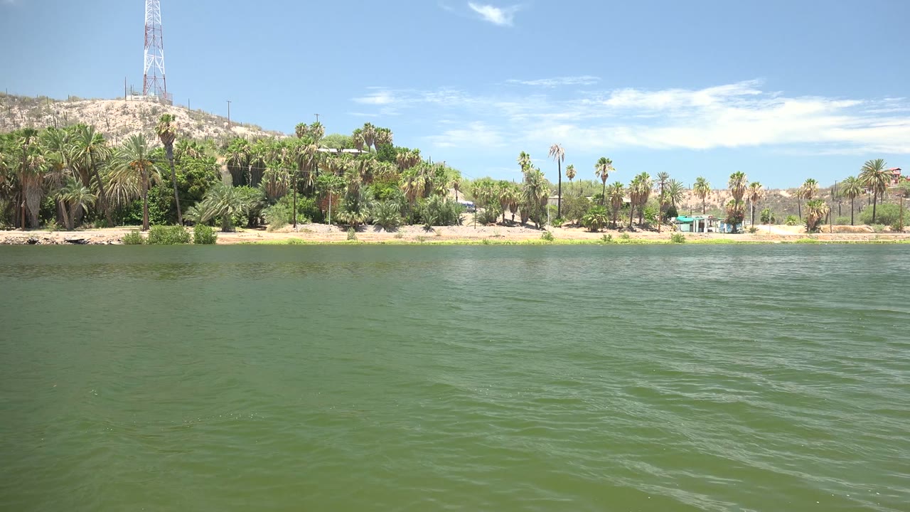 Wide Mulege, Baja California Sur waterfront view with green water below a palm-lined bank, small light-colored structures on shore, a tower on the hill, and no visible people.