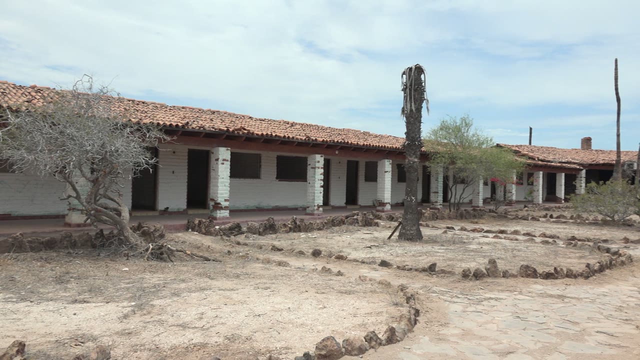Mulege, Baja California Sur adobe building with white walls, red tile roof, dry courtyard ground, a small leafless tree at left, and no visible people.