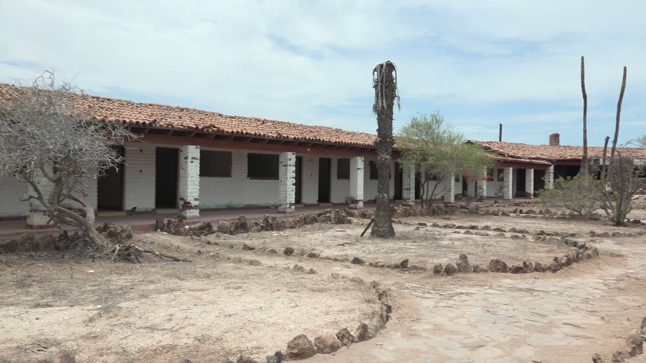 Dry courtyard facing an adobe building with a palm trunk near center.