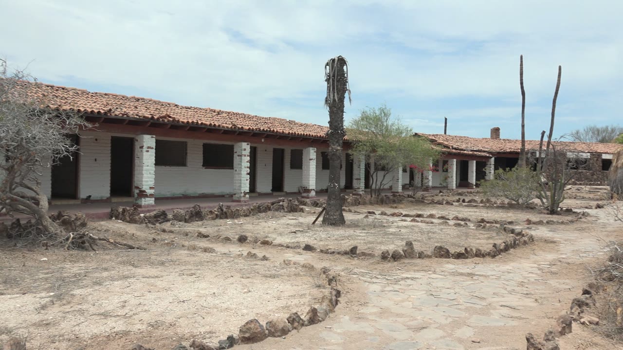 Mulege, Baja California Sur adobe courtyard with the red tile roof stretching across frame, tall cactus stems at right, dry shrubs, and no visible people.