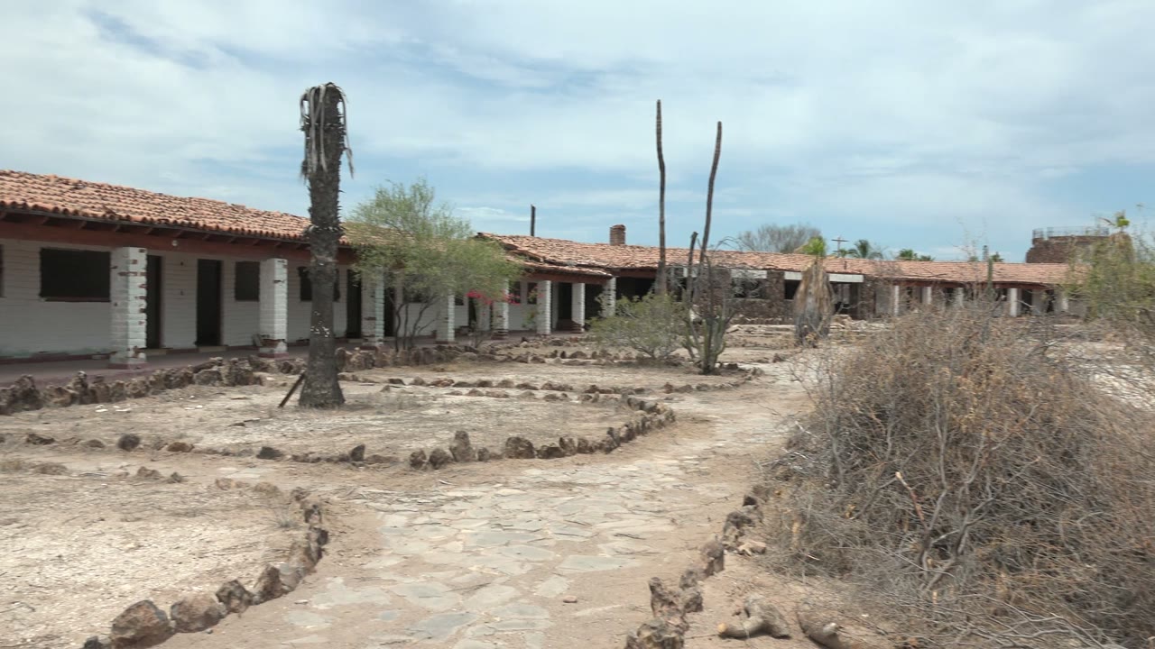 Opening view of a Mulege, Baja California Sur desert courtyard with red tile roof buildings, tall cactus trunks, low stone borders, sandy ground, and no visible people.