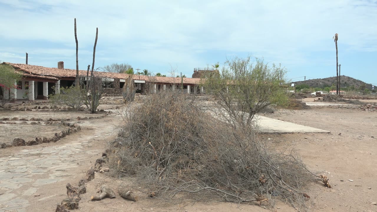 Opening frame of a Mulege, Baja California Sur desert scene with dry foreground brush, tall cacti, sandy ground, a low building, distant hill, and no visible people.