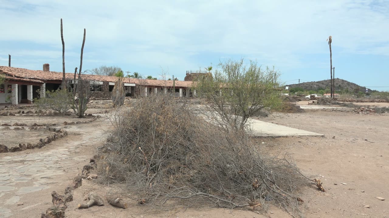 Dry brush in the foreground with cacti, a low building, dirt road, and hill behind it.