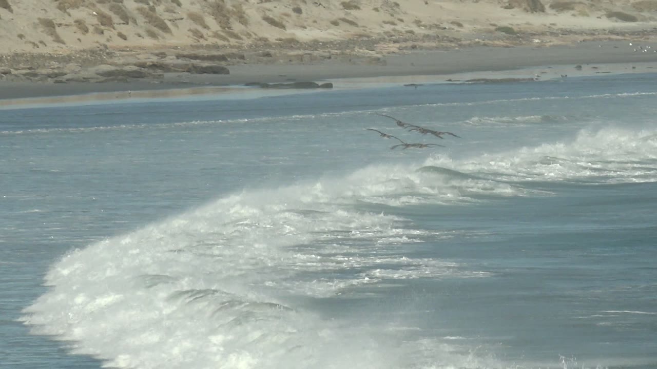 At La Bocana in Baja California Sur, seabirds fly low over blue-green ocean as white surf breaks near pale sand dunes, with no visible people.