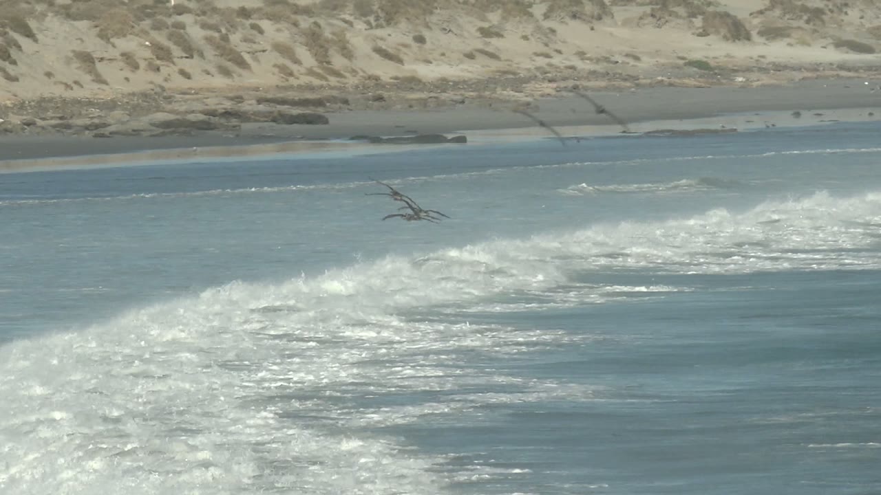White water spreads across the nearshore at La Bocana while dark seabirds cross the frame above the ocean and sand dunes sit in the background, with no visible people.