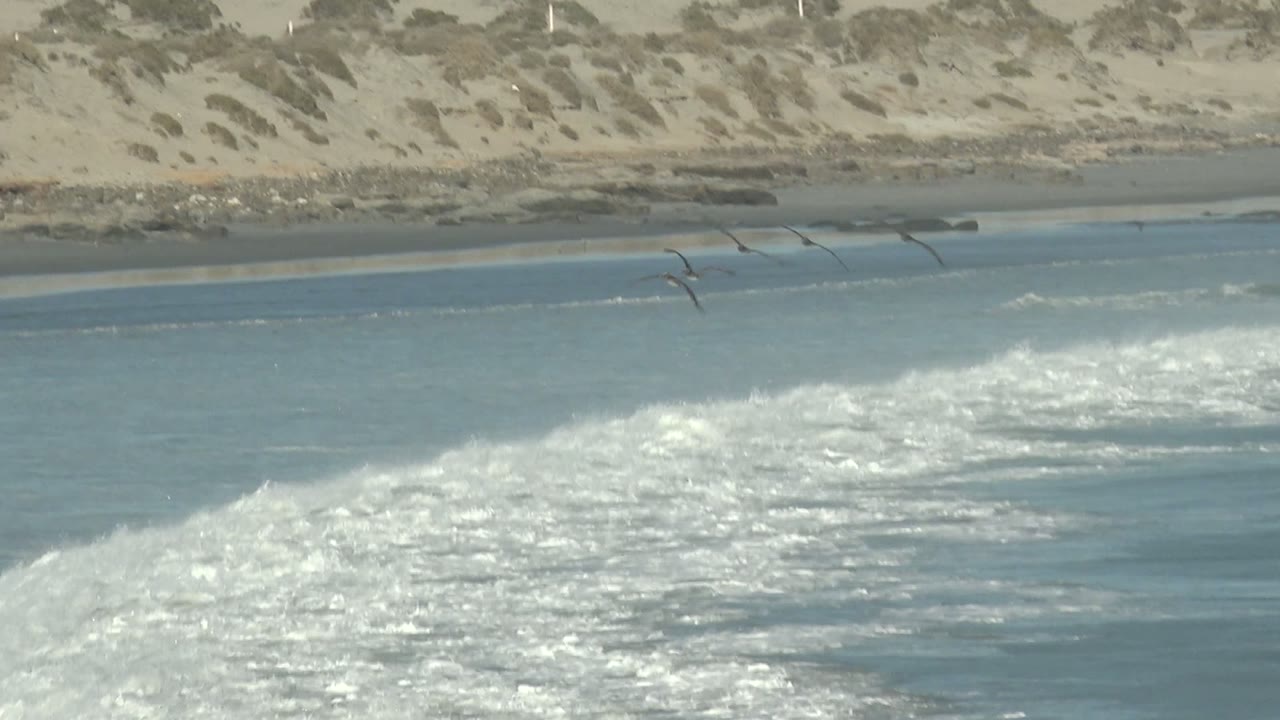 A broad patch of foamy surf breaks across the ocean at La Bocana, with seabirds flying low and muted sand dunes forming the upper background, with no visible people.