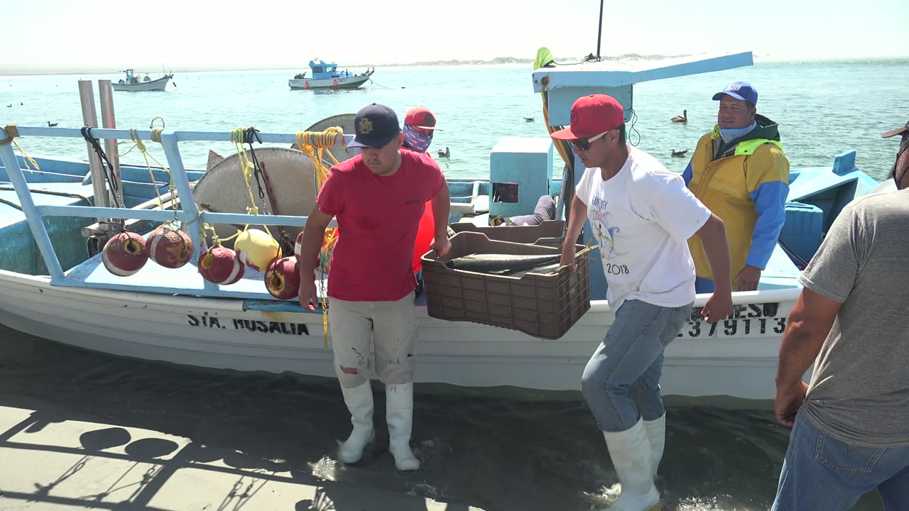 At a La Bocana dock, fishermen stand beside a blue and white fishing boat with buoys, a crate, ocean water, and small boats behind them.
