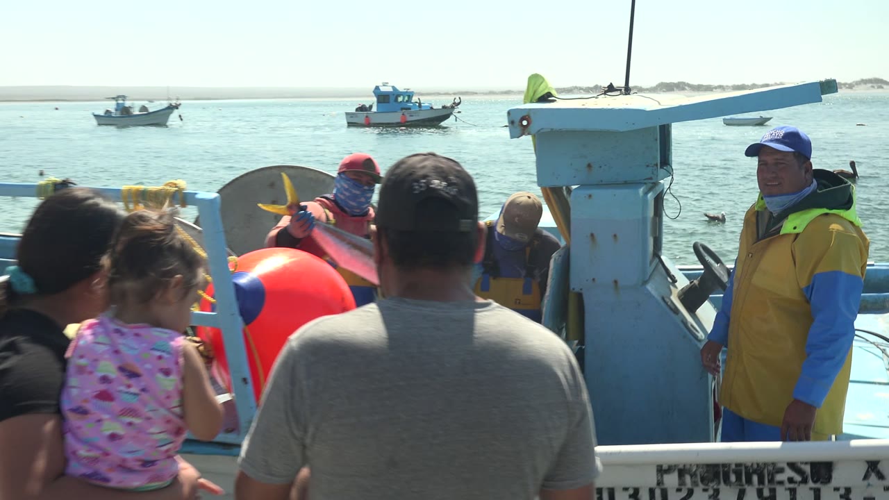 Crew handle fish beside a crate and red buoy on a boat.