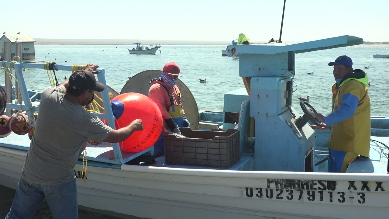 Fishermen work beside a white and blue small boat in La Bocana, Baja California Sur, with a red buoy, yellow vests, and other vessels visible on the water.