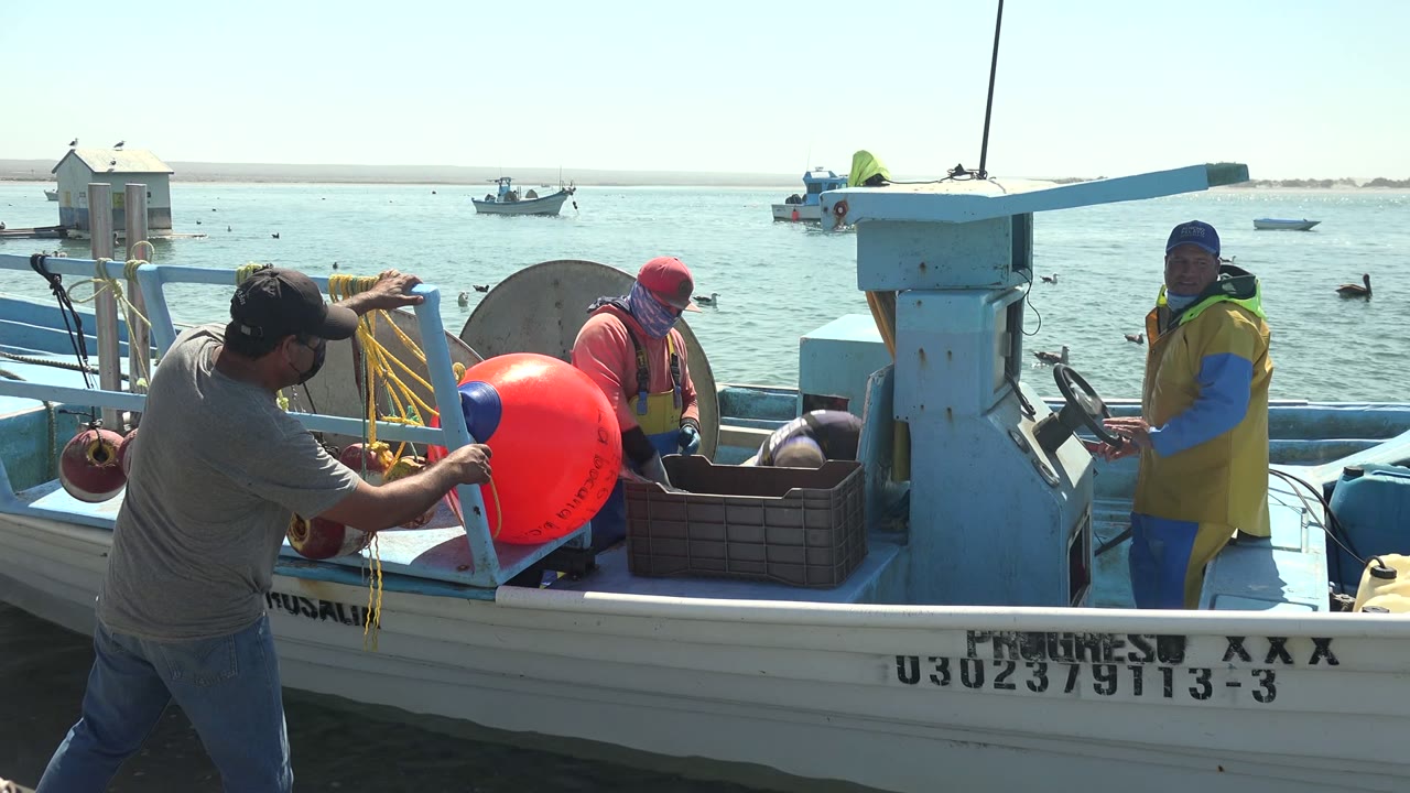 A man on the dock leans toward fishing gear on a small boat.