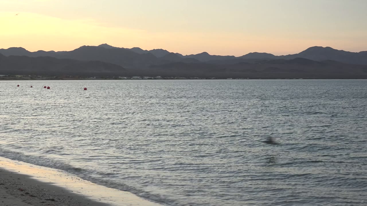 Bahia De Los Angeles beach at sunset with small waves touching the sandy shore, red buoys on the water, dark mountain silhouettes, and no visible people.