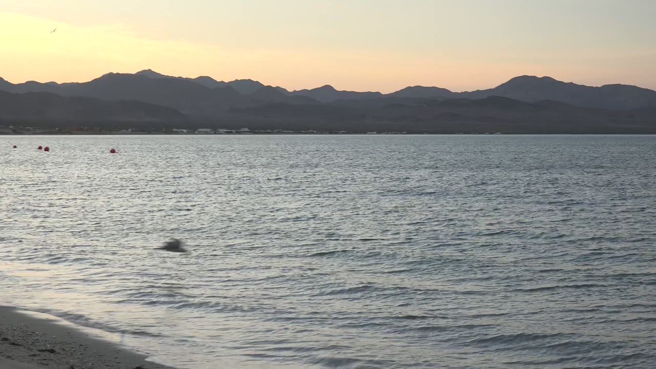 Calm ocean water at sunset with mountain horizon and a few buoys.