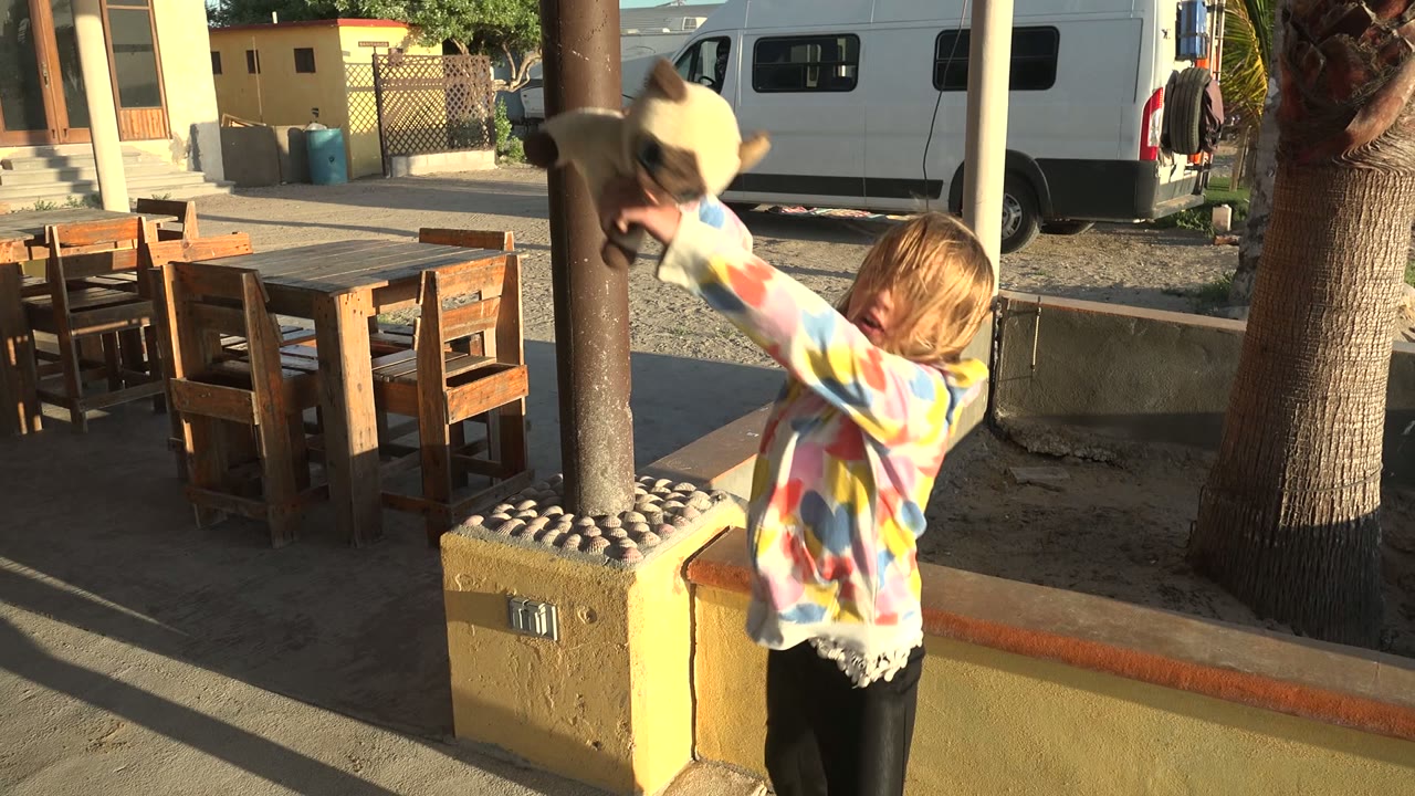A child in a colorful hoodie lifts a small rabbit beside wooden patio furniture, a palm trunk, sandy ground, and a parked van in San Carlos, Mexico.