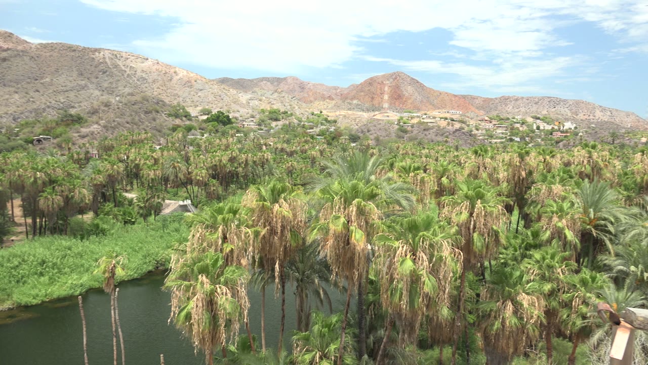 The Mulege landscape shows palms and the dark water channel in the lower frame, with tan and reddish hills, distant structures, bright sky, and no visible people.