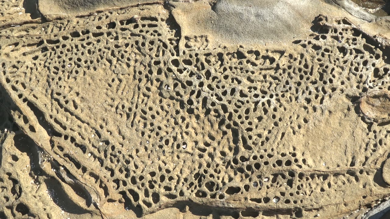 At 0:02, the frame remains tight on the pitted La Bocana rock, where dark holes contrast with pale shell fragments and sunlit beige stone, with no visible people.