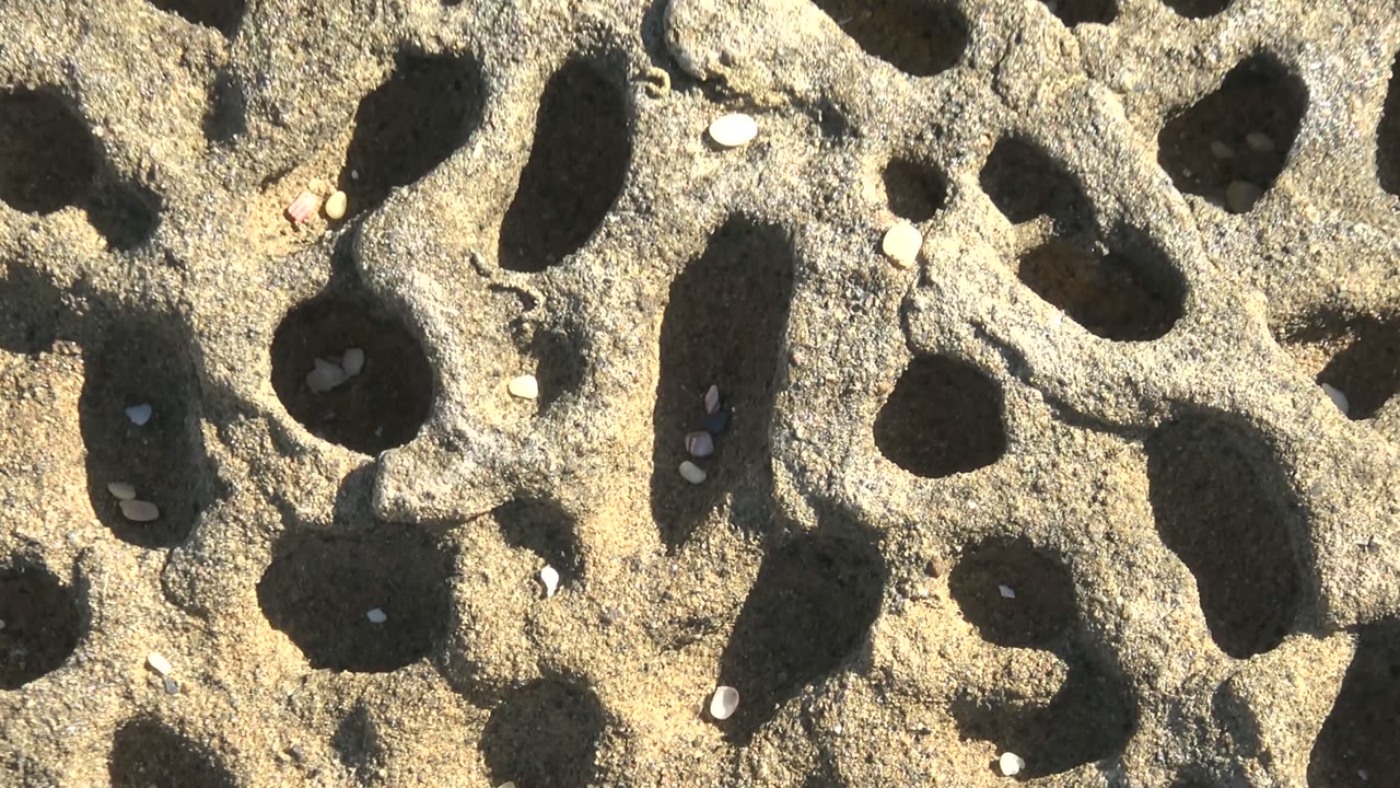 Close view of honeycomb-patterned rock in La Bocana, Baja California Sur, with small shells and pebbles set into shadowed holes and no visible people.