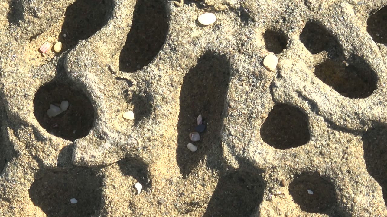 Sunlit porous rock with oval holes and embedded pebbles.