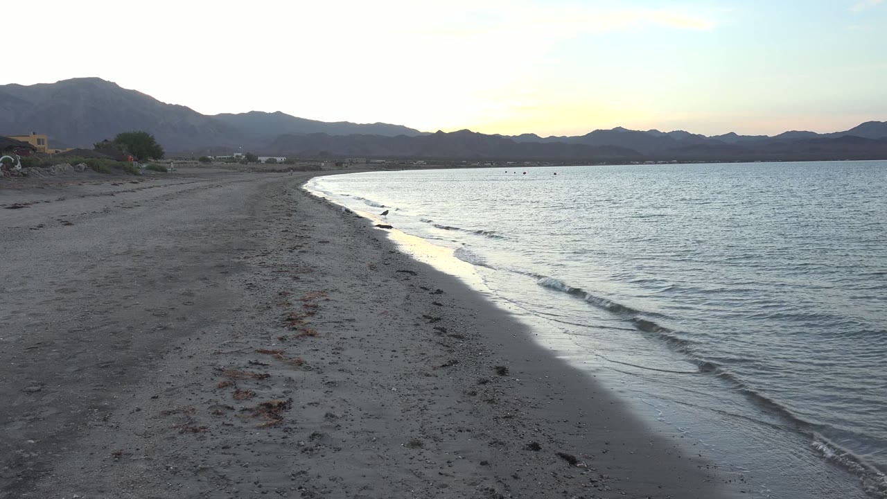 A Bahia De Los Angeles shoreline at dawn shows a curving sandy beach, small waves along the wet edge, distant mountains, pale sky, and no visible people.