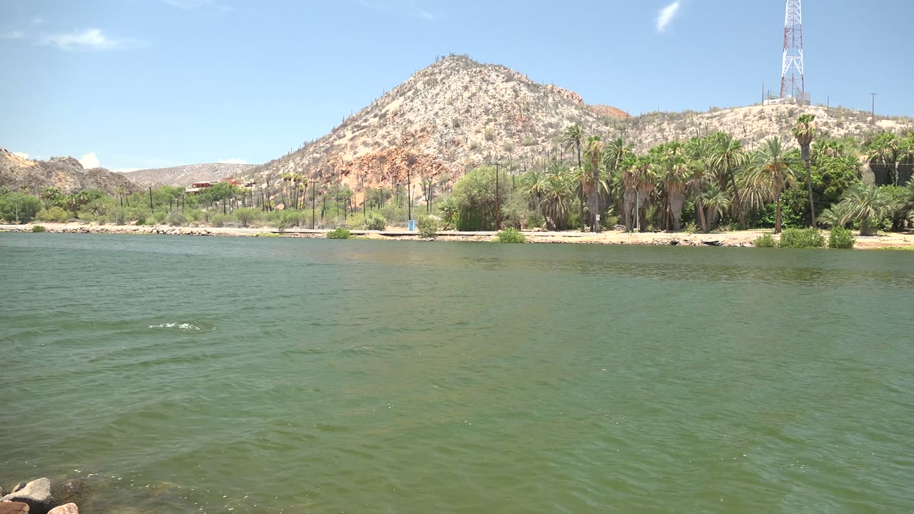 At 0:02 in Mulege, Baja California Sur, the waterfowl sits farther right on the lake surface while the palm band and rocky hill remain steady behind it, with no visible people.