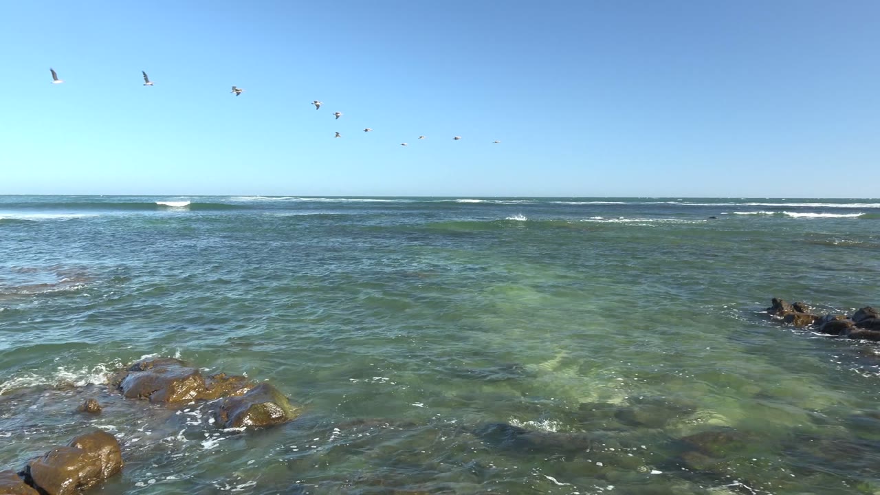 Wide view of La Bocana shoreline with dark rocks in shallow green-blue water, small whitecaps near the horizon, seagulls crossing the clear sky, and no visible people.